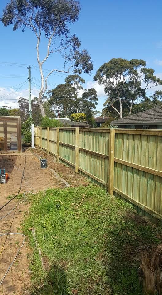 New timber paling fence along a side yard between two homes