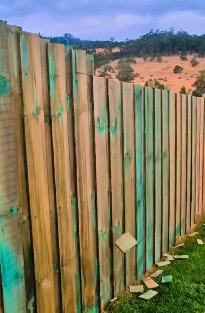 Timber paling fence being built on an Australian block